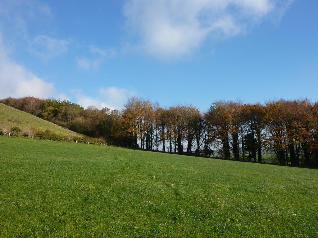 Higher Melcombe Manor Ansty  Luaran gambar