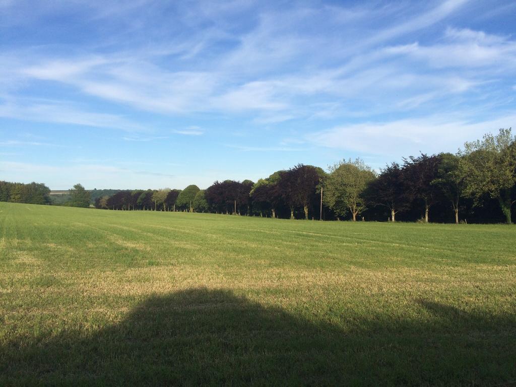 Higher Melcombe Manor Ansty  Luaran gambar