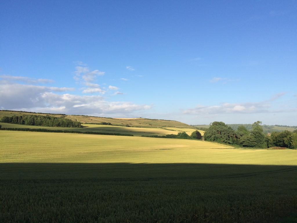 Higher Melcombe Manor Ansty  Luaran gambar