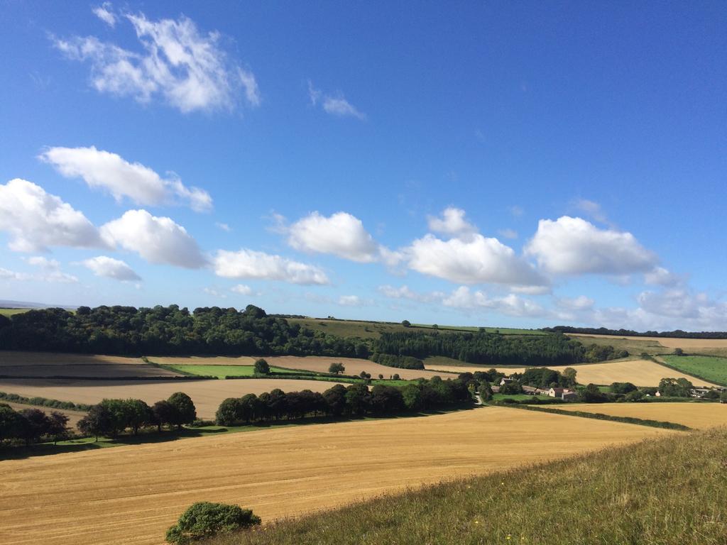 Higher Melcombe Manor Ansty  Luaran gambar